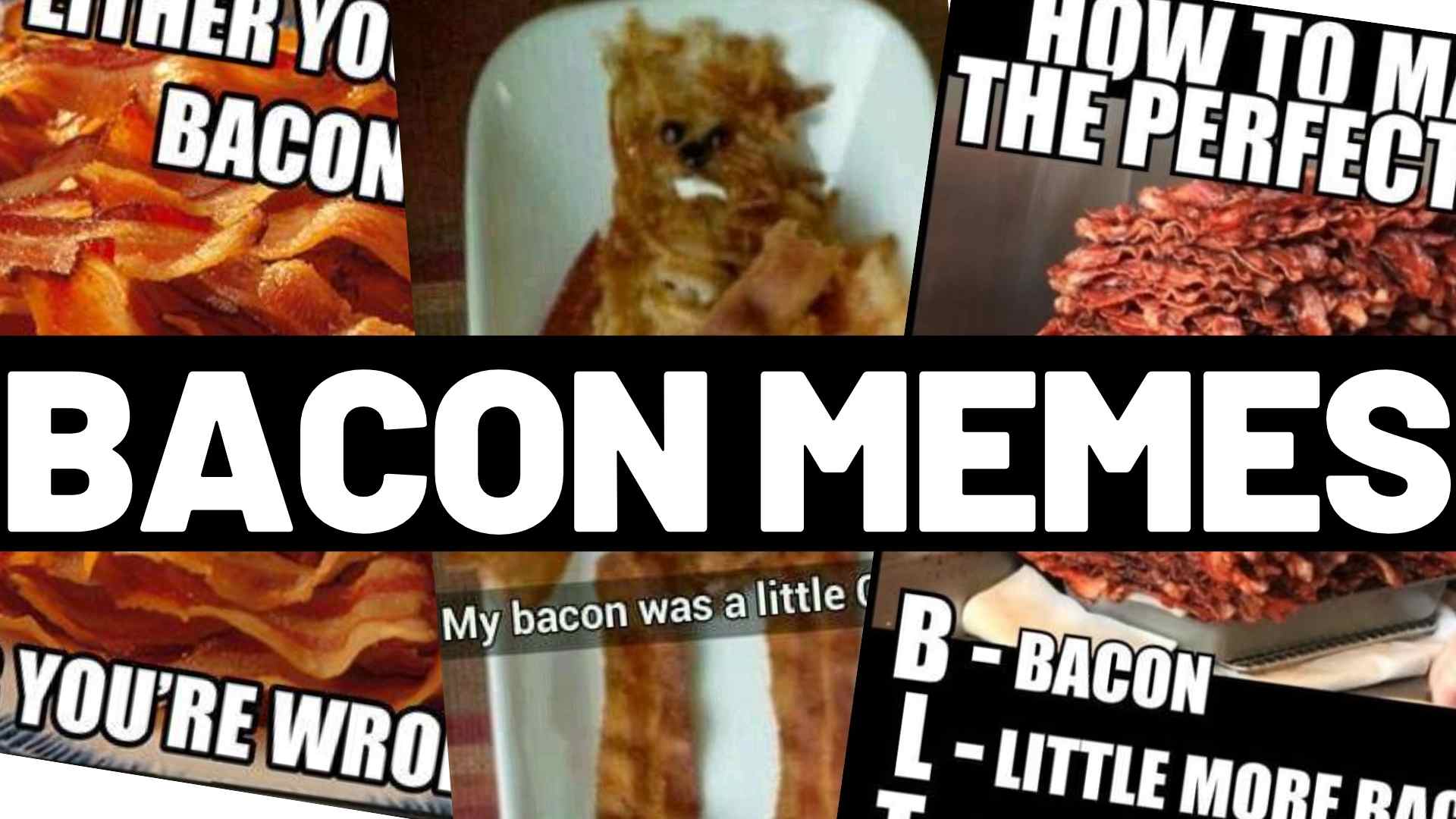 Best Bacon Memes 25+ Funny Images Celebrating Bacon Humor