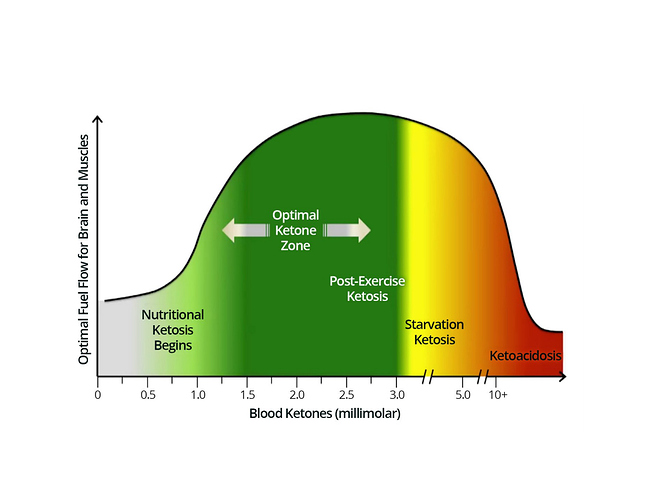 Ketones too high? First time Ketosis numbers Ketogenic Forums