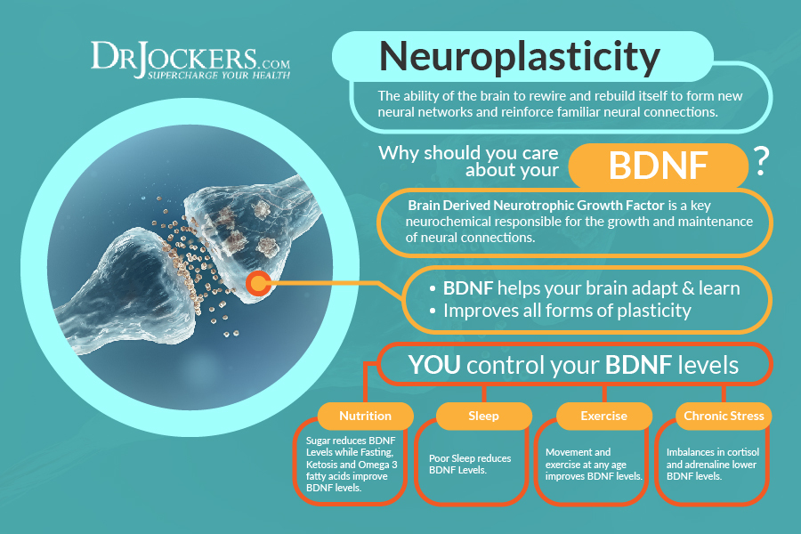 Brain Derived Neurotrophic Factor And Exercise ExerciseWalls