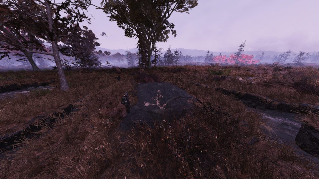Best Cranberry Bog Camp Locations in Fallout 76 Camp Guides