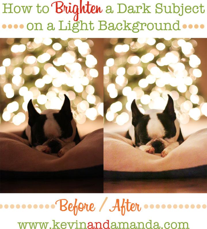 Do Puppies Get Darker Or Lighter