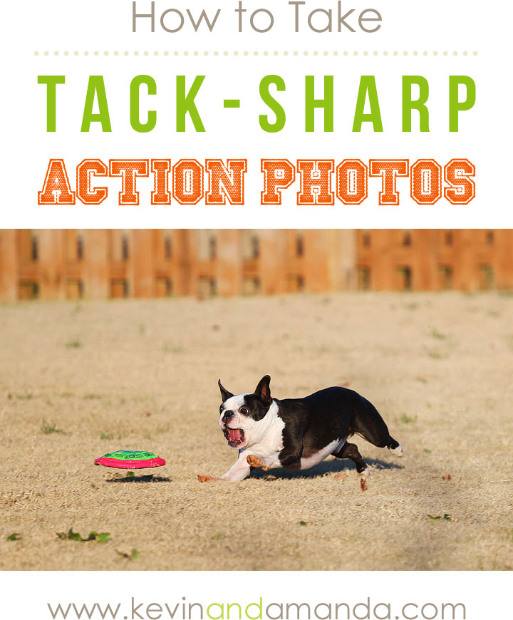How to Take TackSharp Action Photos Avoiding Blurry Pictures