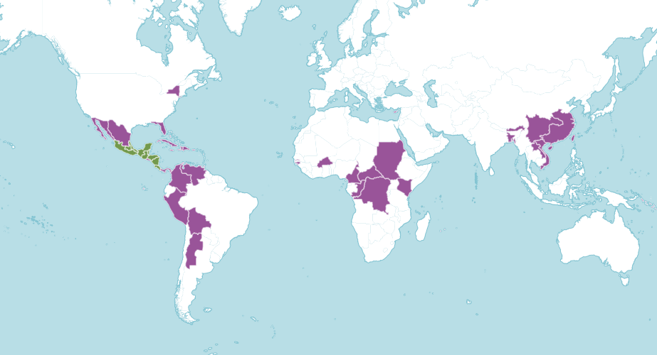 Where Do Avocados Grow Map