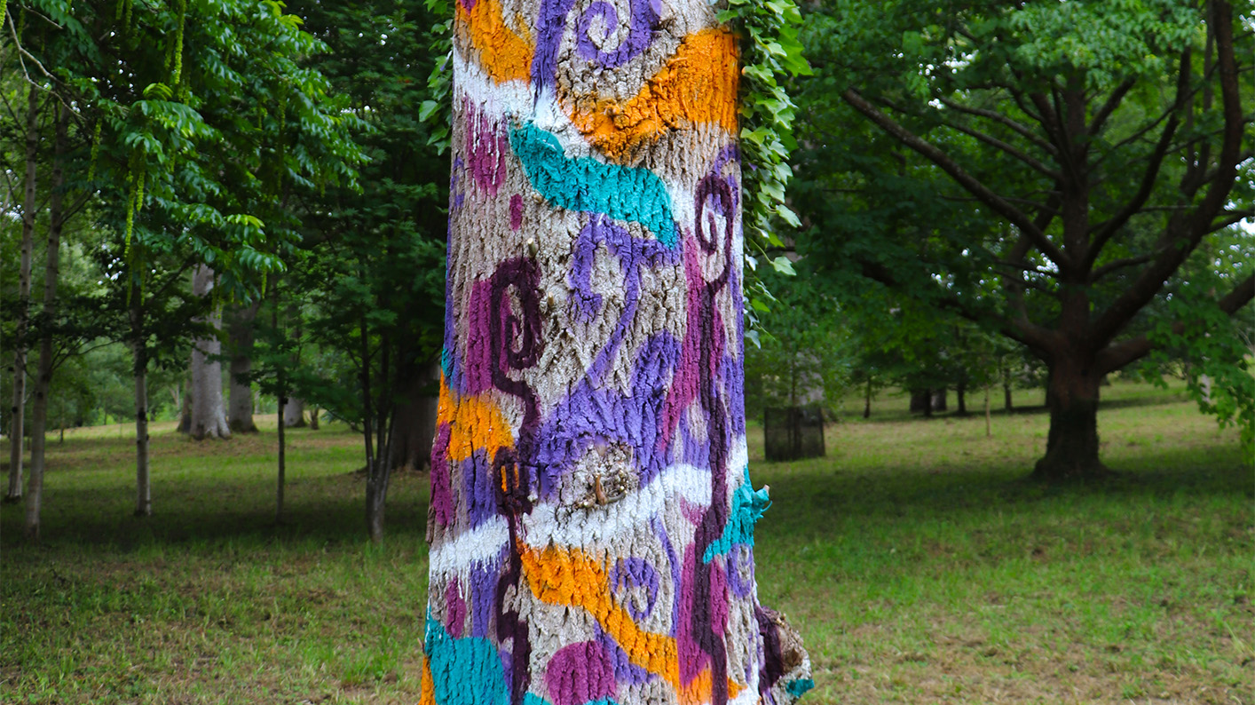 Life, language and legends The significance of ash Kew