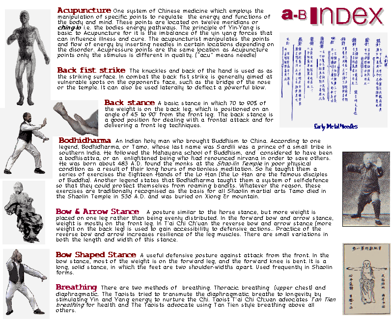 TAI CHI GLOSSARY FirstGate DVD help ACUPUNCTURE BOW ARROW STANCE BODHIDHARMA BREATHING