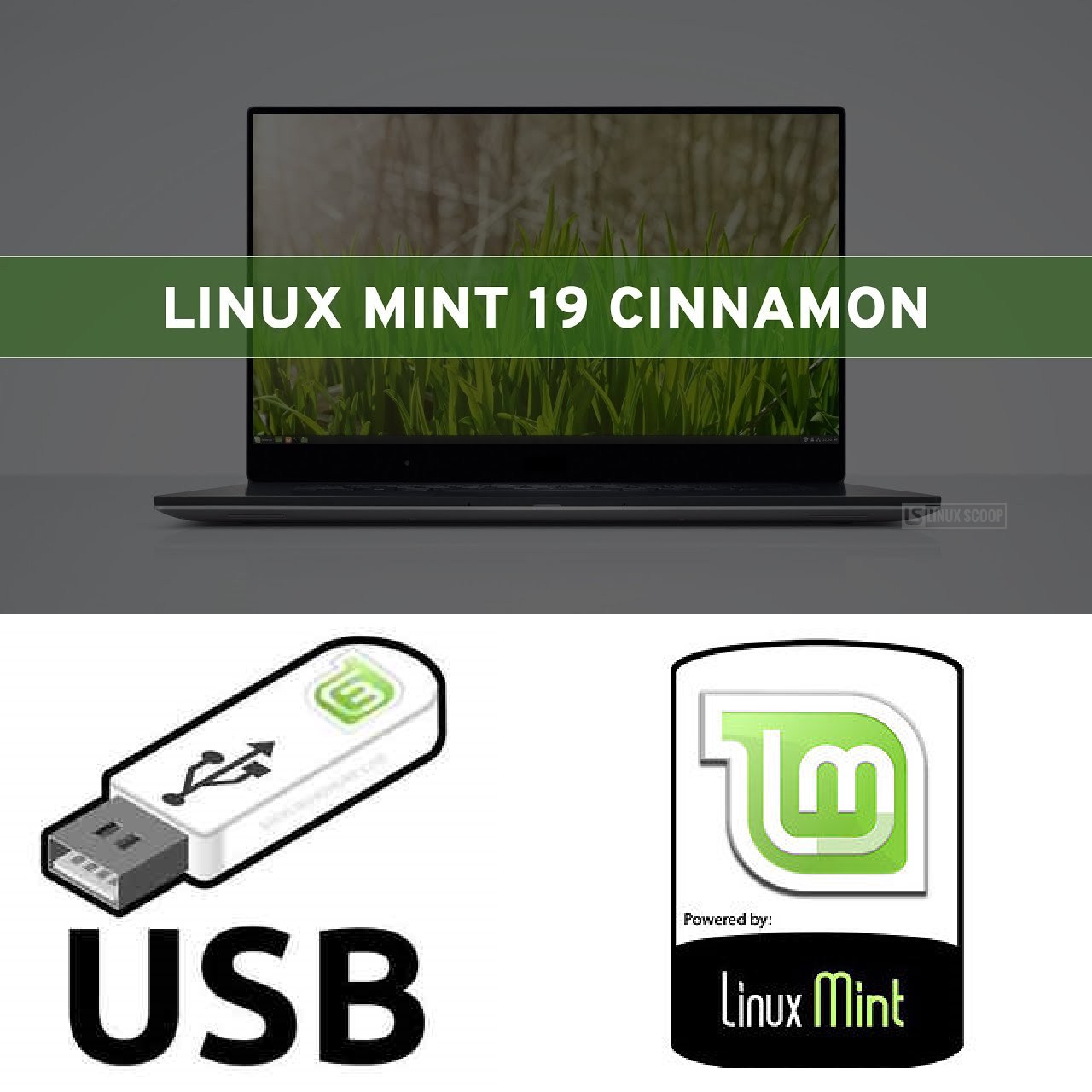 Linux Mint 19 Cinnamon 64Bit Live Boot on 32Gb USB Stick *Win 10