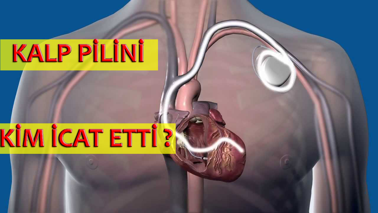 Kalp Pilini Kim İcat Etti Keykubad Teknolojik İnsan