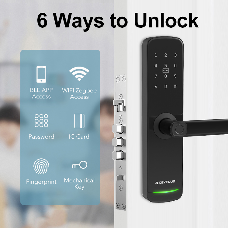 China OEM CE Certification Lifesmart Door Lock Pricelist T2 2021