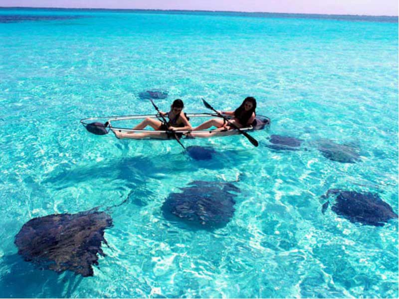 Dolphin Watch Key West / Florida Keys Money Saving Discount Coupons