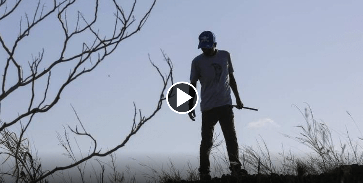 Irula tribesmen chase pythons in the Everglades Key Biscayne Citizen