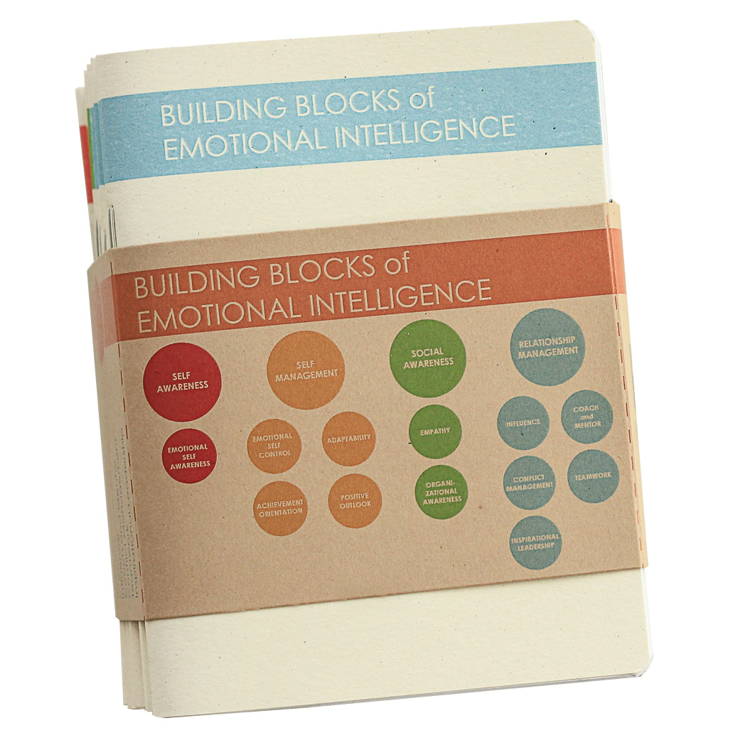 Building Blocks of Emotional Intelligence 12 Leadership Competency Primers