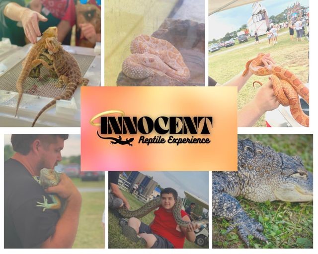 Event Calling All Reptile Lovers!
