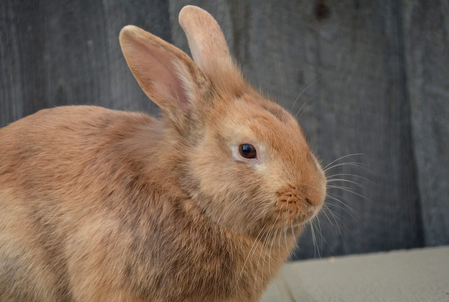 Contact Keystone Mills