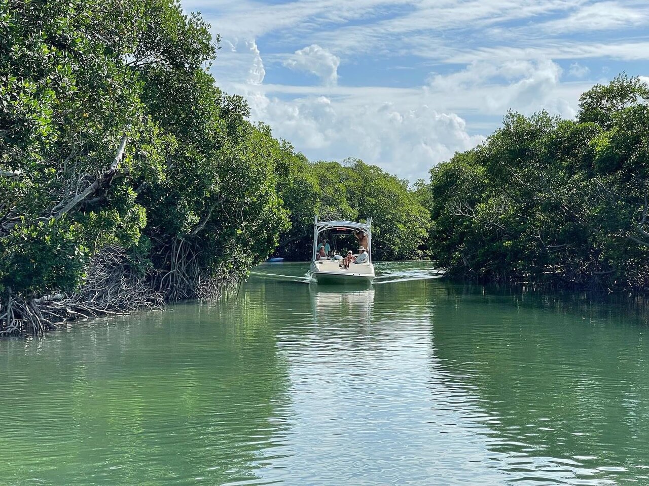 Islamorada_Ecotours Gallery Islamorada Boat Tour Photos & Florida