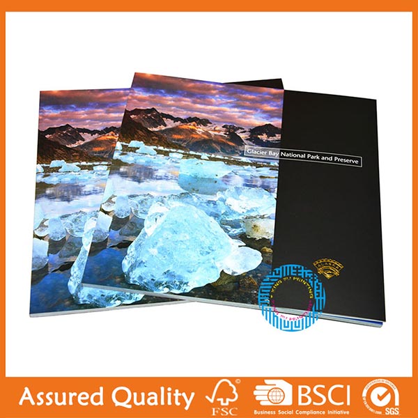 OEM Customized Cheap Book Printing In China Softcover Book King Fu