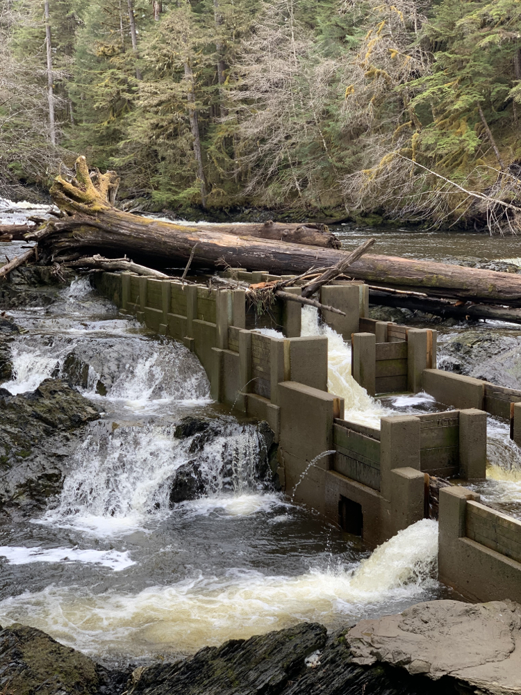 Higher creek water levels carry logs to fish pass, bridge KFSK