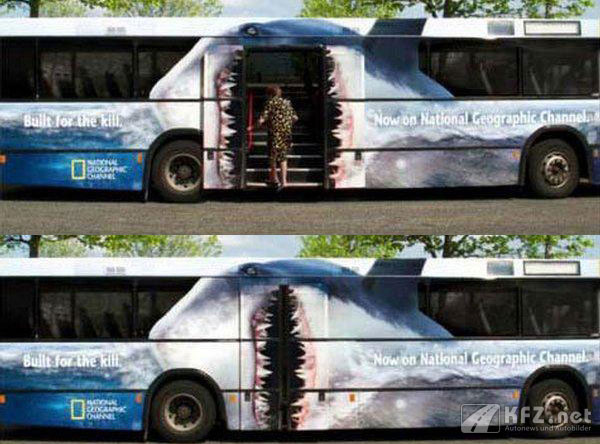 Busfahrer Witze. Test für Busfahrer und Lustige Bilder