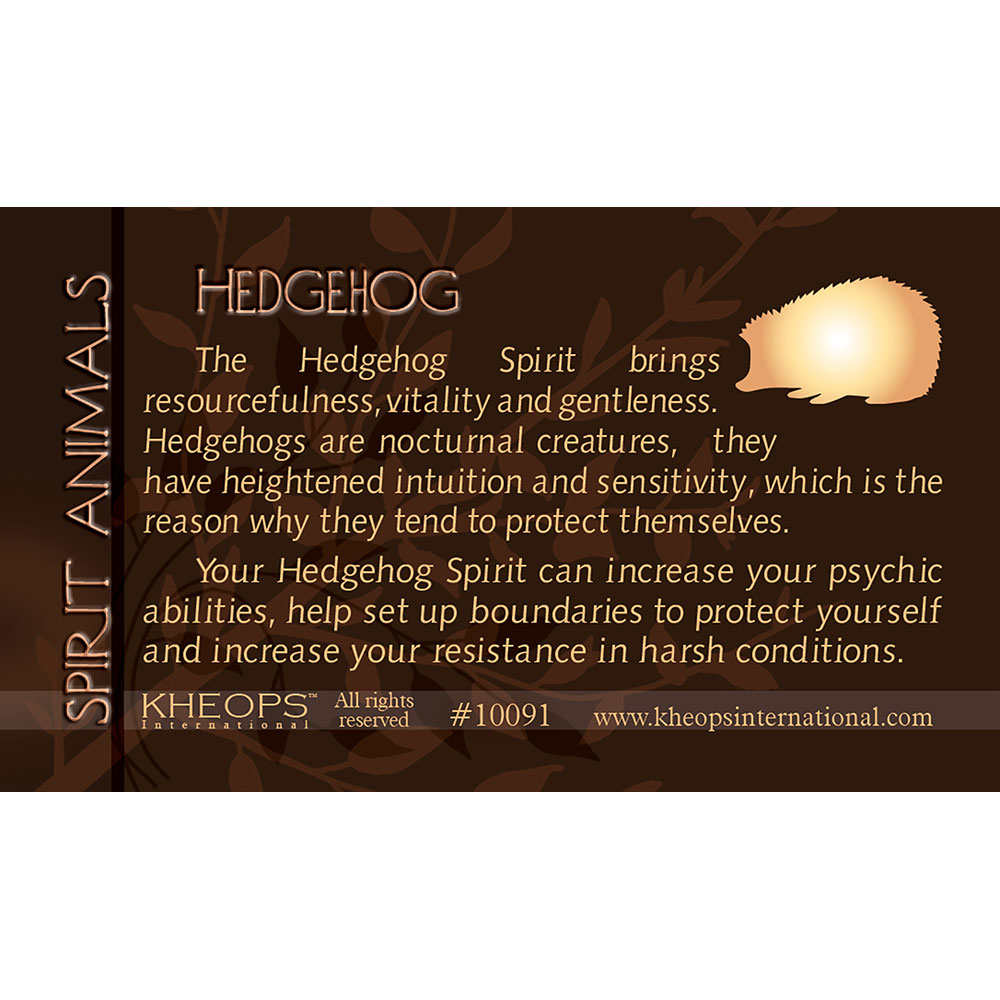 Spirit Animal Info Card Hedgehog (Each) Kheops International