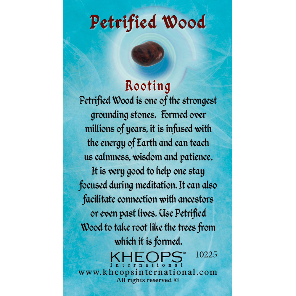 Gemstone Properties Info Card Petrified Wood (Each) Kheops International