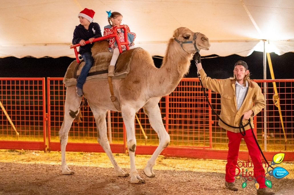 Southern Lights Plan Your Visit Kentucky Horse Park Foundation