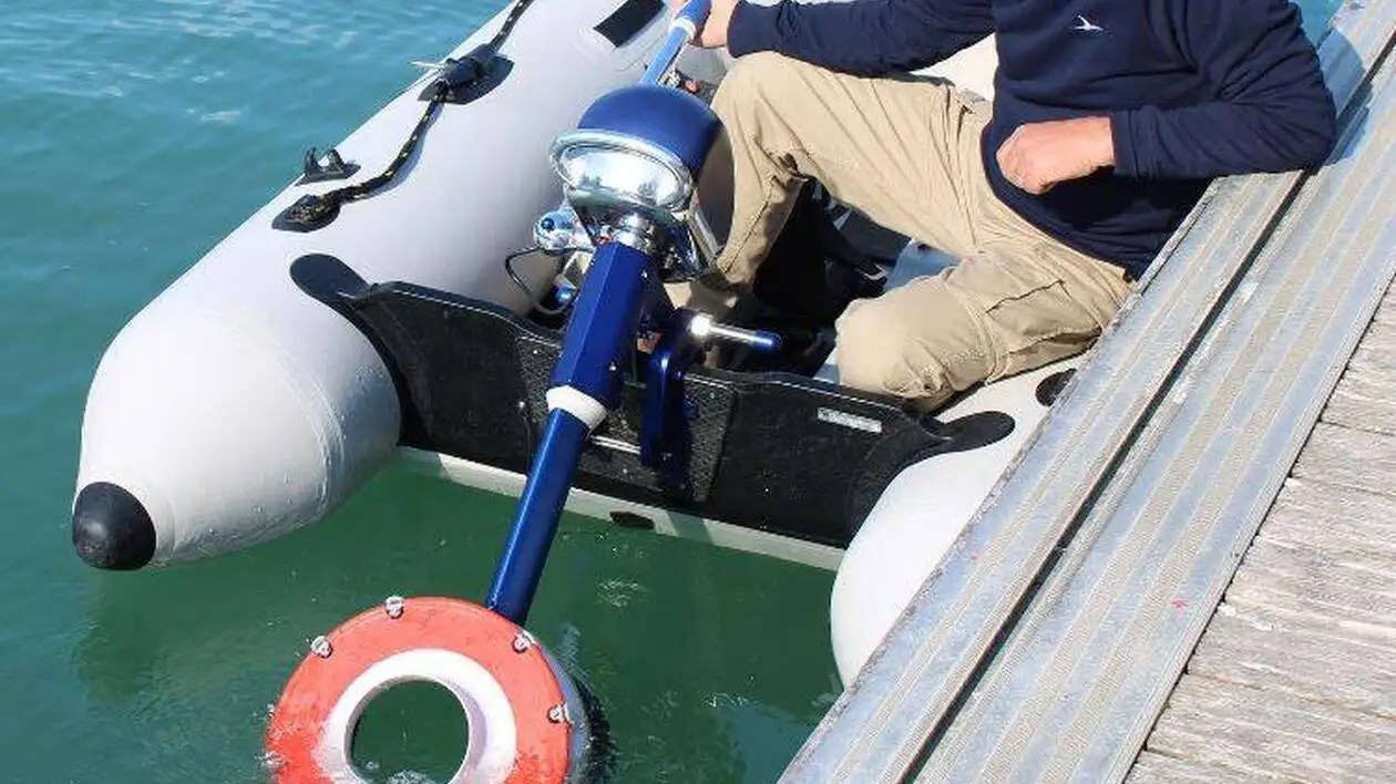 Biomimicry how nature drives technological innovation Kickmaker