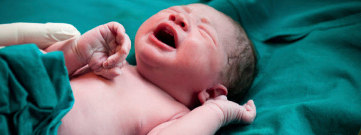 FirstCry kidborn