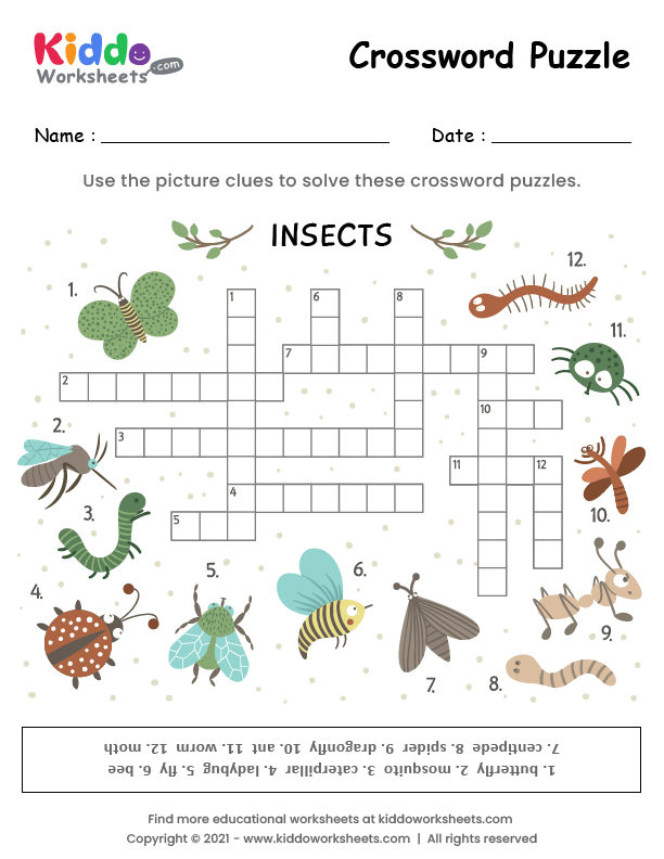 Free Printable Crossword Puzzle Insects Worksheet kiddoworksheets