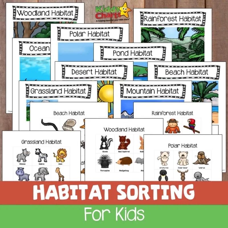 Animal habitats sorting game for kids Free printable