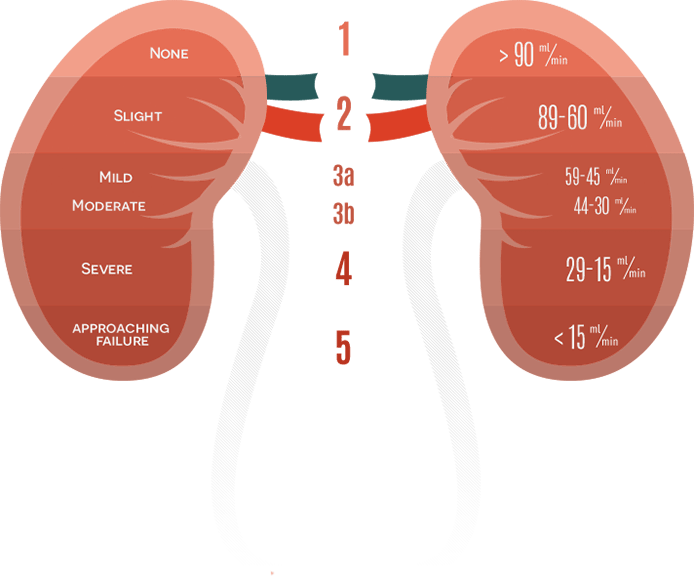 The Kidney Failure Risk Equation