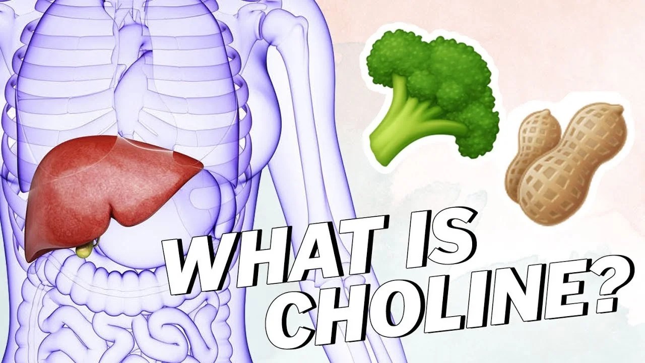 Choline Supplements The Essential Nutrient, Choline & Its benefits