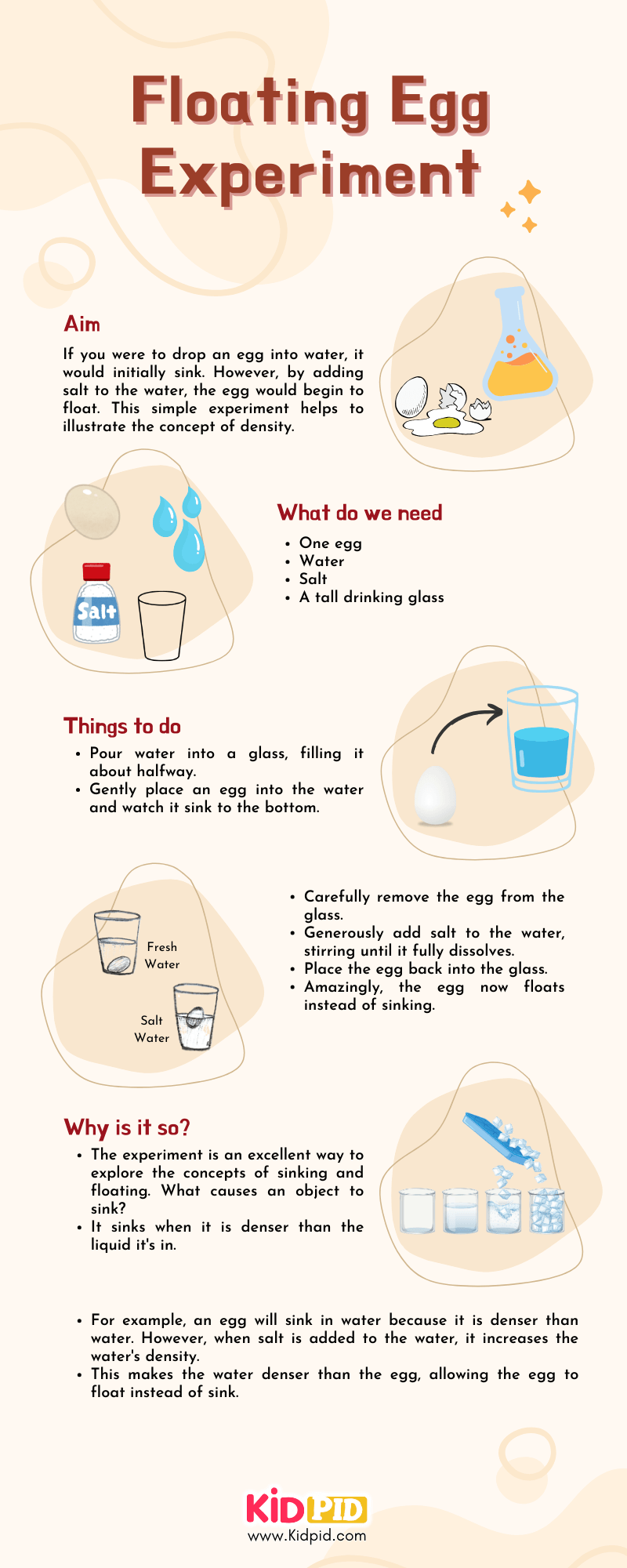 Floating Egg Experiment - Kidpid