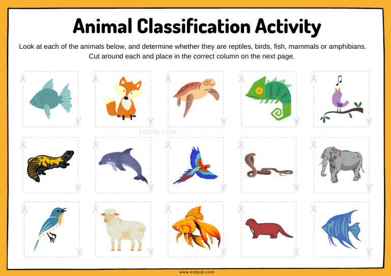 Animal Classification Sorting Worksheet Kidpid