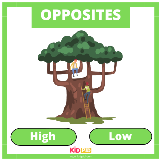 Learn Opposite Words Kidpid