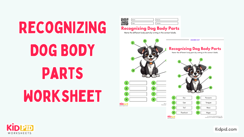 Dog Breed Picture Quiz Printable Pdf