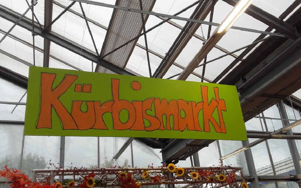 Kidsevent KürbisTag bei Pflanzen Kölle in München und