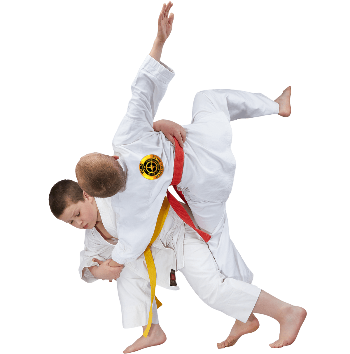 Kids Jiujitsu Lessons Kids Karate Lessons Near Me
