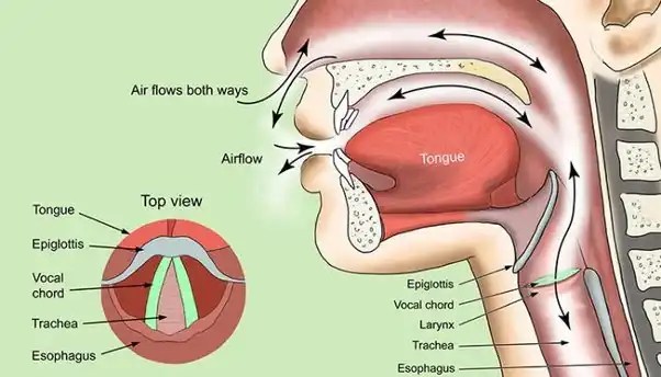 Why Breathing Helium Changes the Sound of Your Voice - Kidz Herald