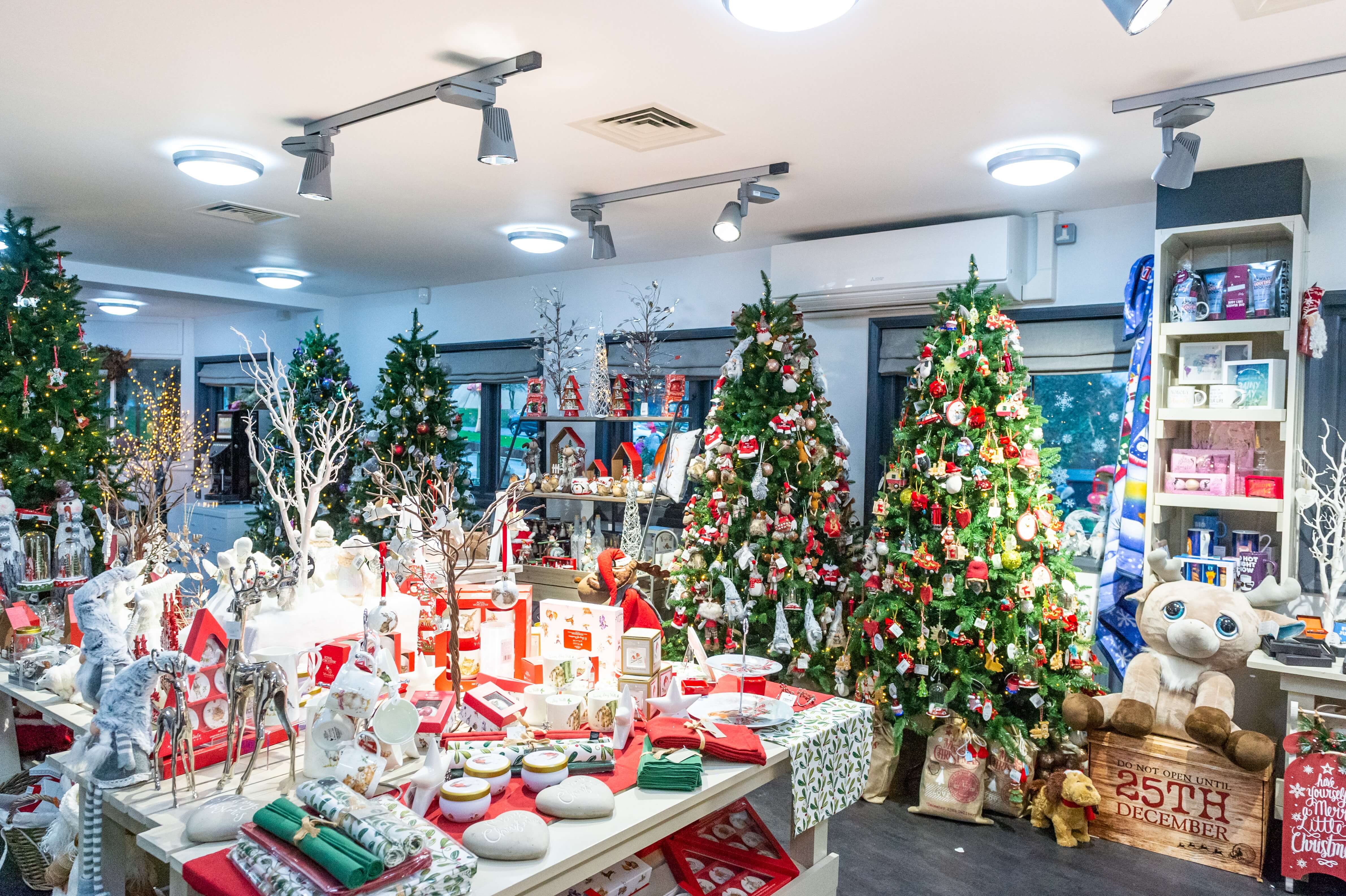 Winter Wonderland Winter WonderlandWinter Wonderland