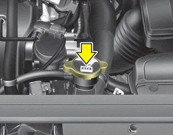 Kia Forte - Engine coolant - Maintenance