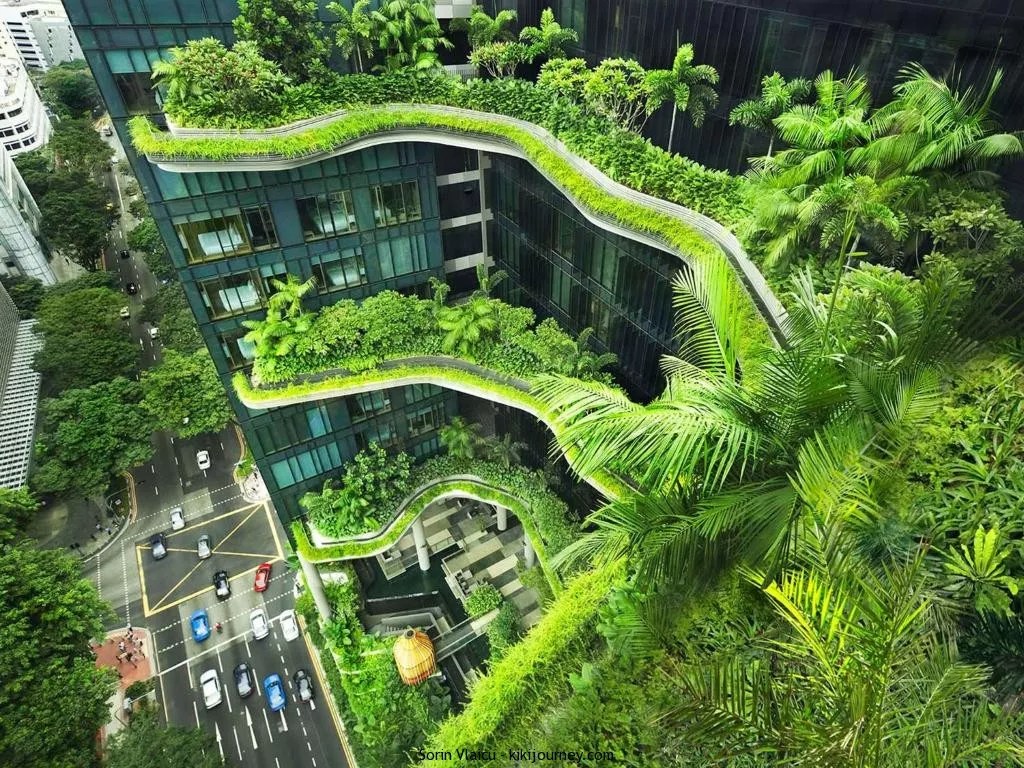 Guide to Eco Hotels in Singapore (2024 Updated) Kiki Journey