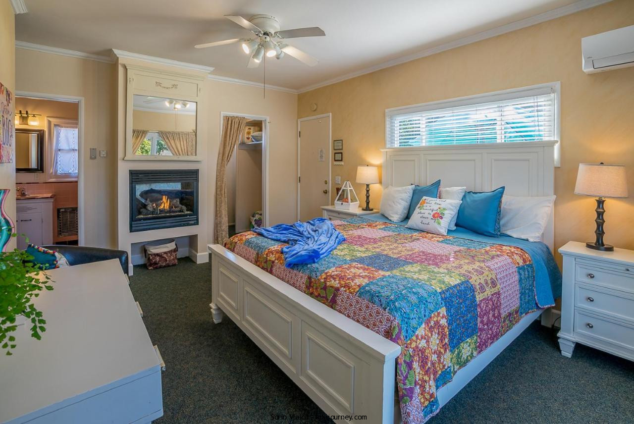 Guide to Pet Friendly Hotels in Santa Barbara (2024 Updated) Kiki Journey