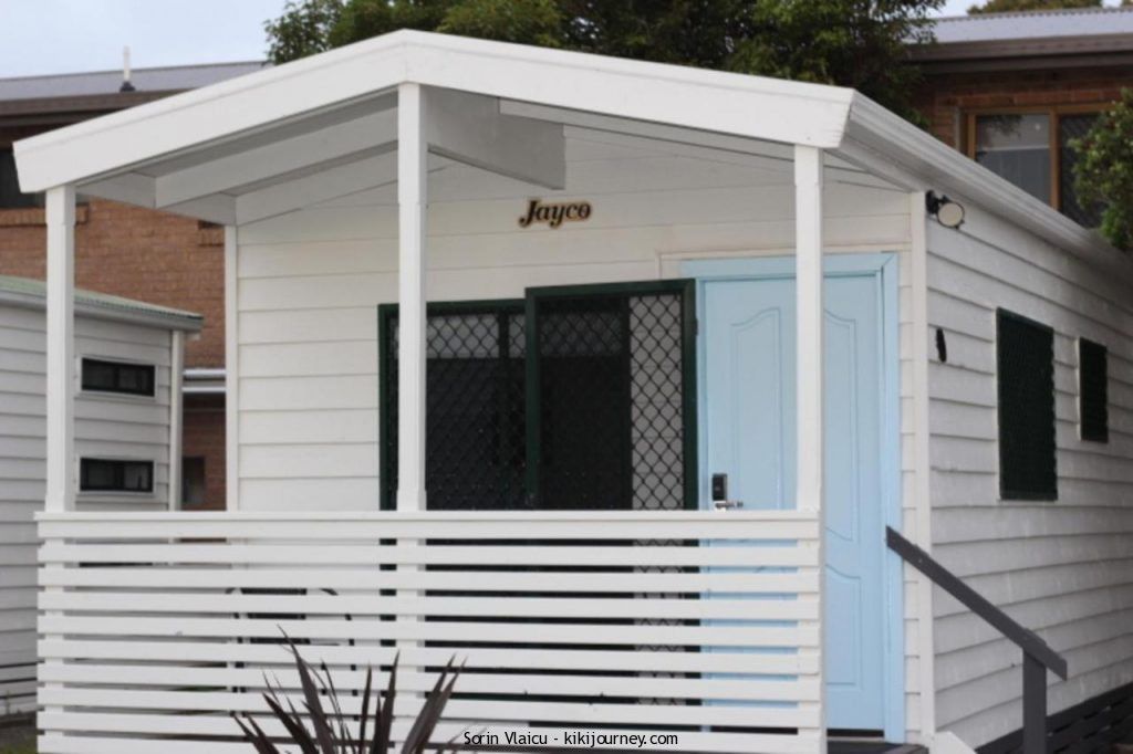 Guide to Pet Friendly in Wollongong (2024 Updated) Kiki