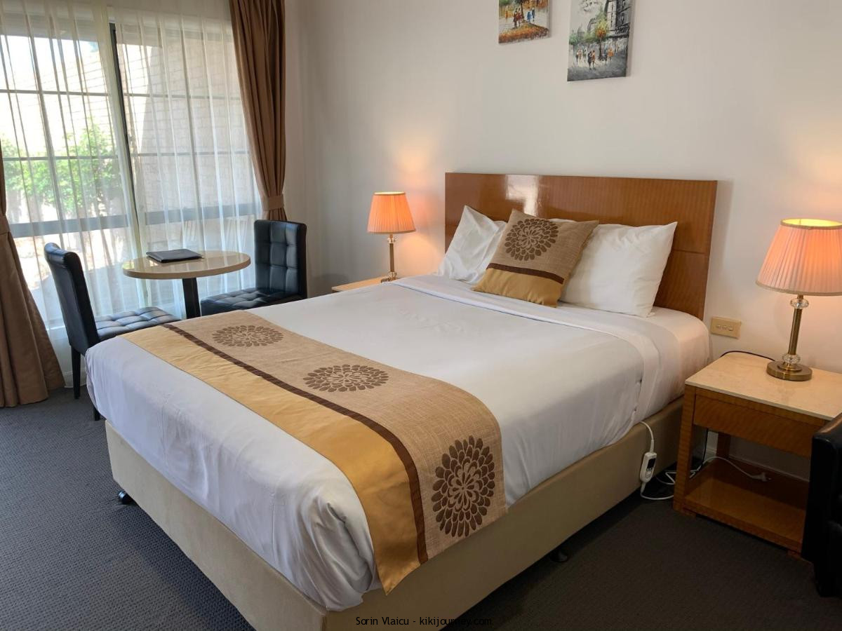 Guide to Yass Pet Friendly (2024 Updated) Kiki Journey