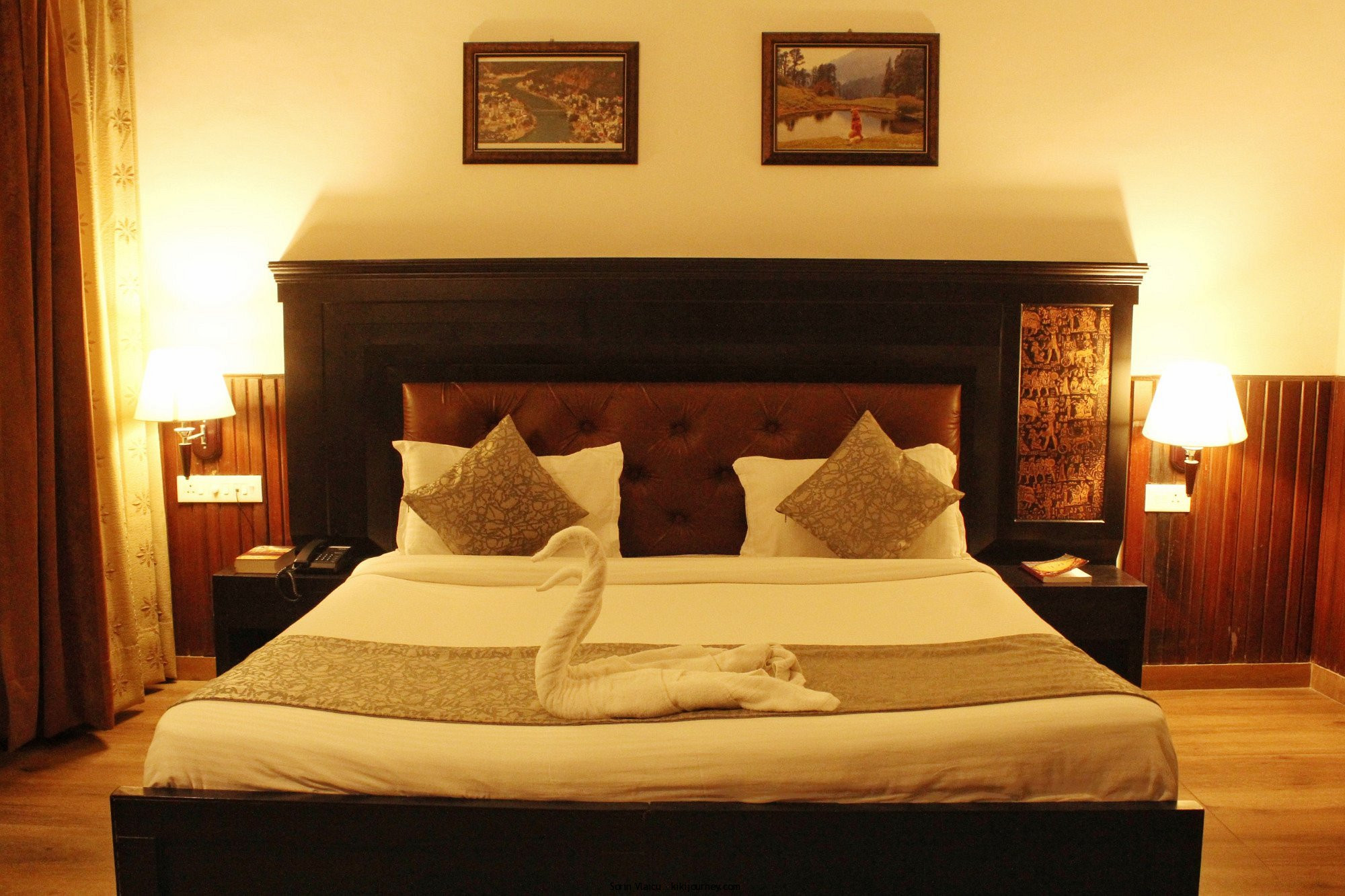 Guide to Pet Friendly Hotels in Rishikesh (2024 Updated) Kiki Journey