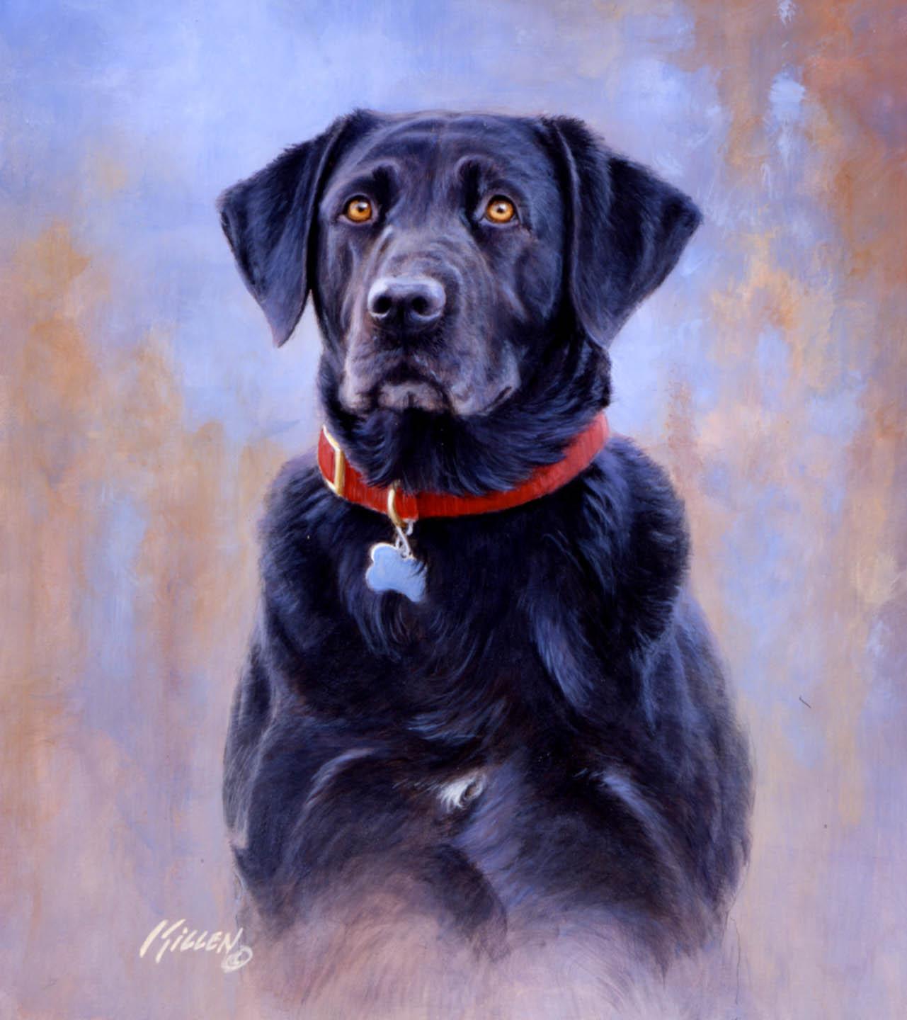 "Ebbie" Black Labrador Retriever Painting by Jim Killen