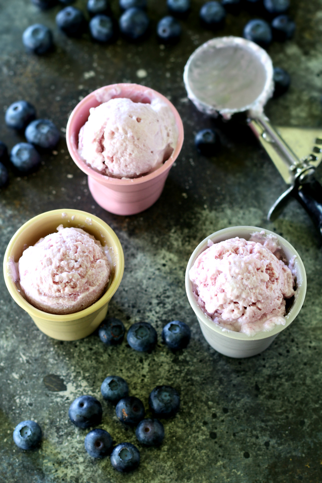 Greek Yogurt Blueberry Ice Cream Kim's Cravings