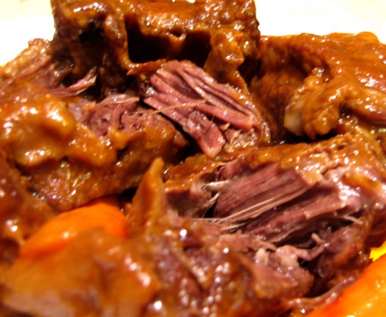 Review Breville Fast Slow Cooker Kimversations