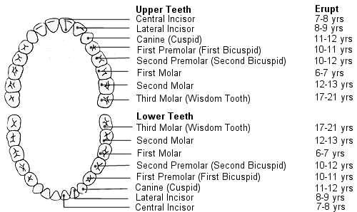 Kindandental Dental Practice