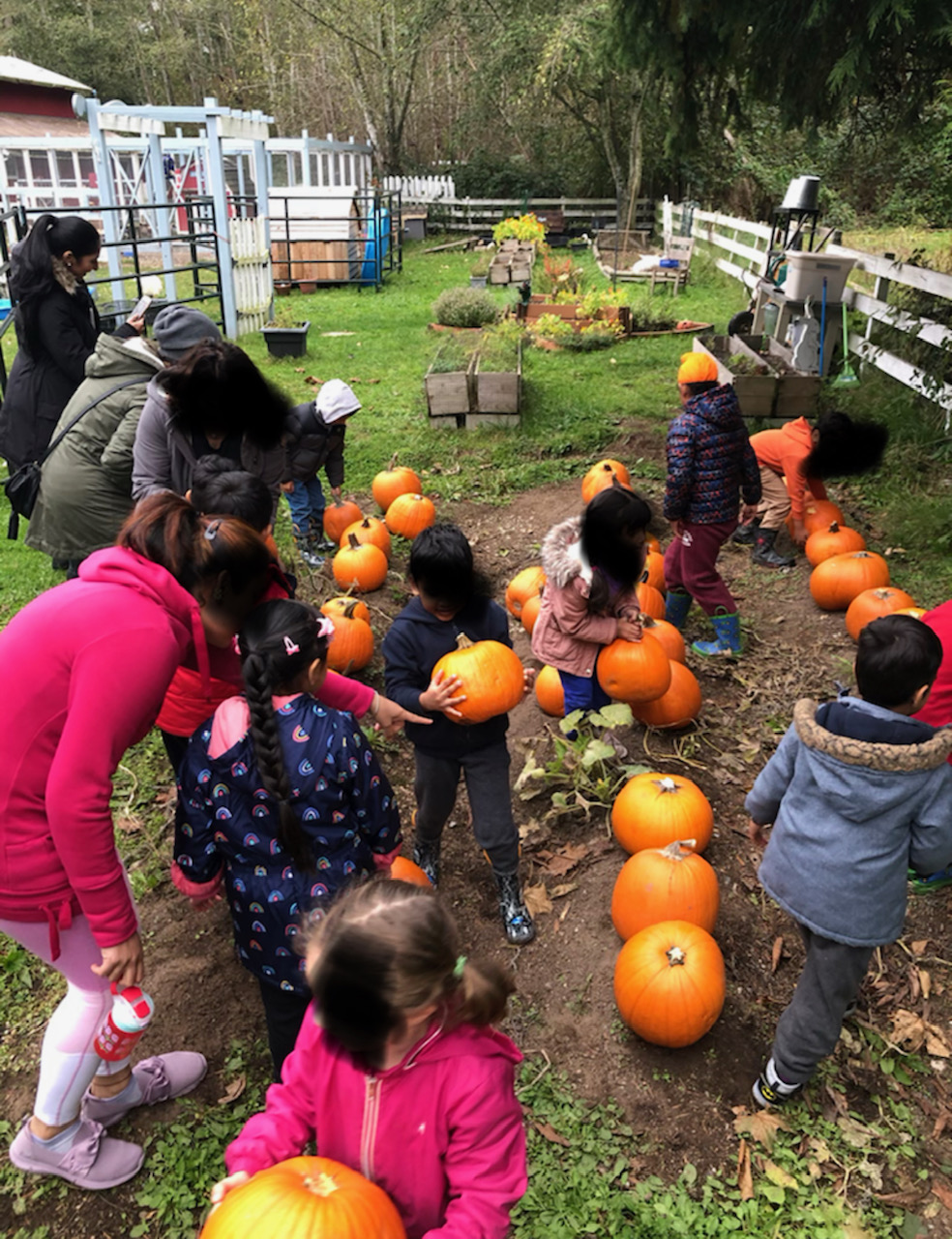 Kindergarten Field Trip Kindred Farm