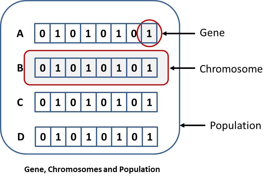 Basics of Algorithm GA (Explained in Simple Terms) Kindson The Genius